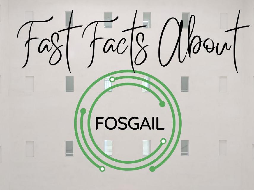 Fast Facts about Fosgail
