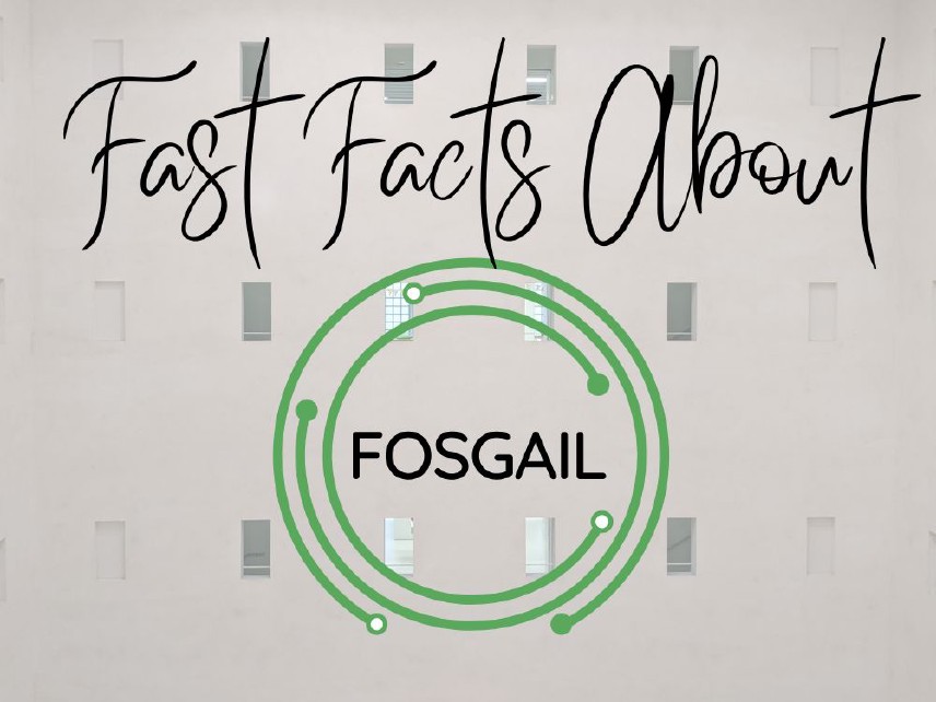 Fast Facts about Fosgail